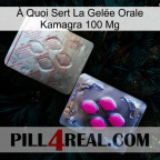 À Quoi Sert La Gelée Orale Kamagra 100 Mg 38